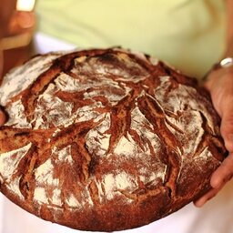Pain de seigle bio farine complete - 1 kg