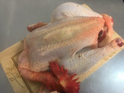 Poulet fermier