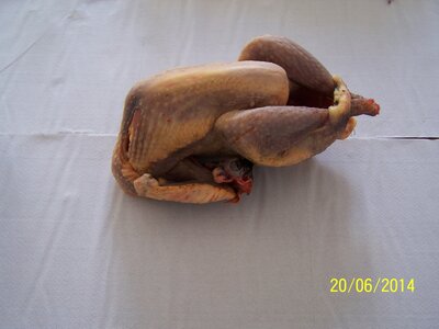 Pintade fermière 1.6kg (+ ou - 100g