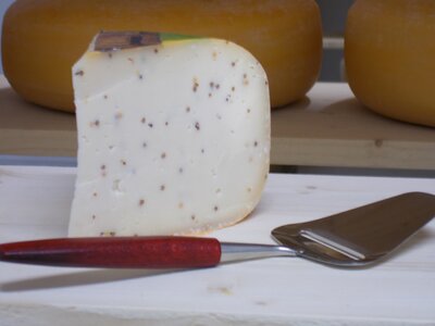 Gouda de vache à la moutarde, 450-550gr