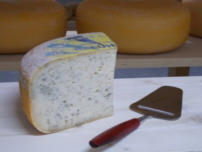Gouda de vache avec melilot, 450-550gr