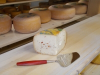 Gouda de vache aux tomates méditerranées, 450-550gr