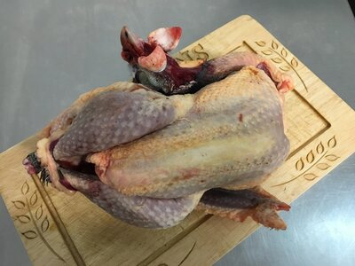 Pintade fermière