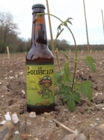 Bière blonde le goubelin 33cl