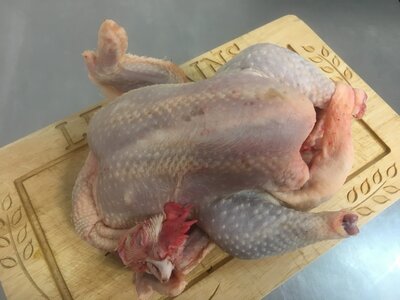Poule fermière