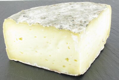 Tomme des fées