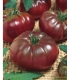 Tomates noire de crimée - image 2
