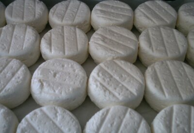 Crottin frais