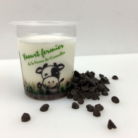 A*yaourt façon 'stacciatella'