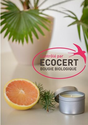 Bougie bio purifiante