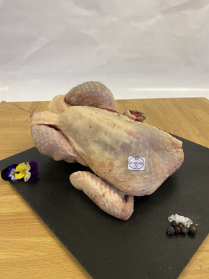 Pintade
