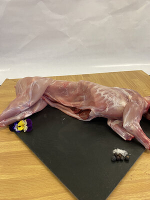 Lapin