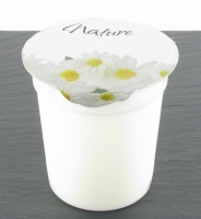 Yaourts nature 4*125g au lait écrémé