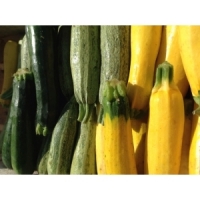 Mélange de courgette verte, jaune e