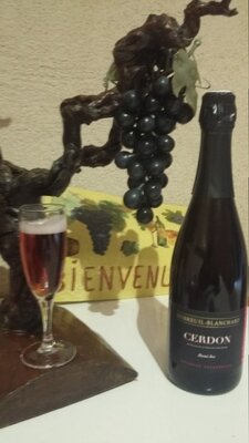 A0c bugey cerdo (par 3 bouteilles)