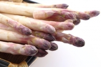 Asperges moyennes -16mm