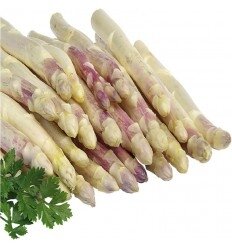 Asperges grosses +16mm