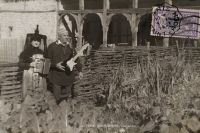 Carte à l'unité + 1 offerte