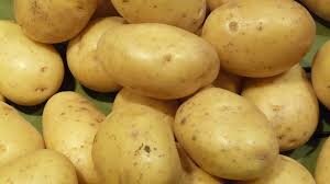 Pomme de terre charlotte
