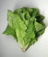 Salade romaine
