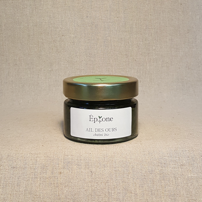 Ail des ours en pesto