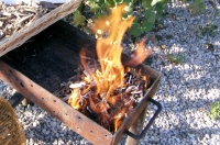Petit bois pour barbecue et allumage de cheminée