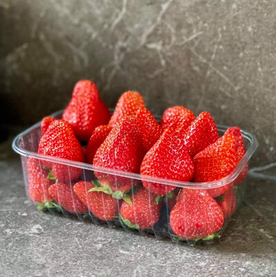 Barquette de fraises