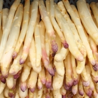 Asperges
