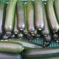 Courgette verte au kg