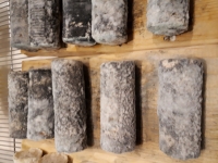 Chèvre - buchette cendré affiné