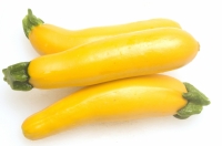 Courgettes longue jaune
