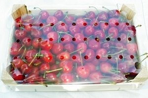 Cerises bigarreaux en plateau bois de 2kg