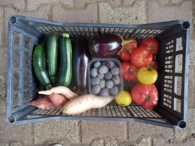 Panier légumes de saison (famille)