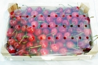 Cerises bigarreaux en plateau bois de 5kg
