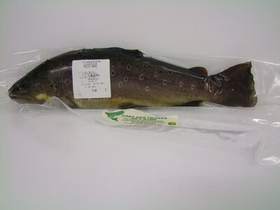 Truite fario 450 gr