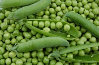 Petits pois à ecosser ab