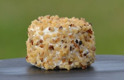 Crottin de chèvre frais aux noix