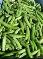 Petit pois 500g