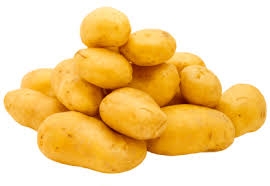 Pomme de terre 'gourmandine'