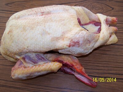 Cane de barbarie 2.4kg (+ou- 100g)-