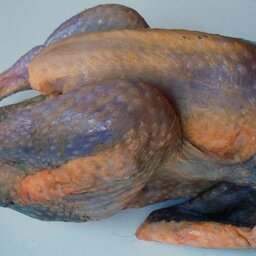 Pintade fermière 1 kg 700