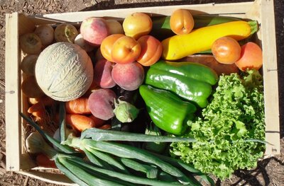 Panier bio légumes/fruits:moy md:7,5