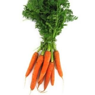 Carottes fanes