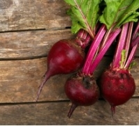 Betterave nouvelle en botte