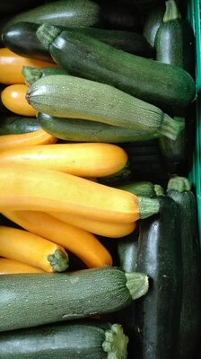 Courgettes longues
