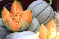Melon charentais