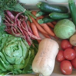 Panier de légumes