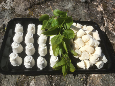 Fromages apéritifs pur chèvre