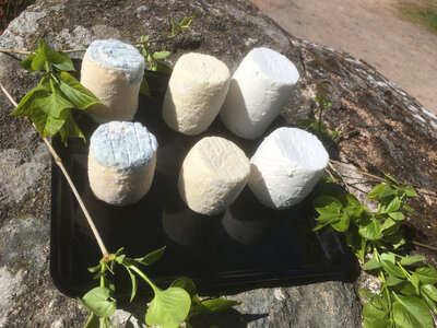 Grand mi-chèvre mi sec par 3
