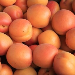 Abricots au kg